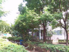 風(fēng)華天城月亮灣圖片相冊,武漢風(fēng)華天城月亮灣實(shí)景圖 室外圖 小區(qū)配套圖
