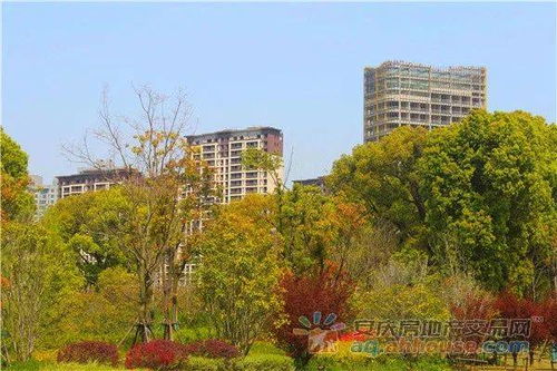 天盟 閱江山湖景美宅,以四季美好閱鑒時代風華