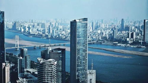 洪城拍客 攝影作品展示丨江城一望