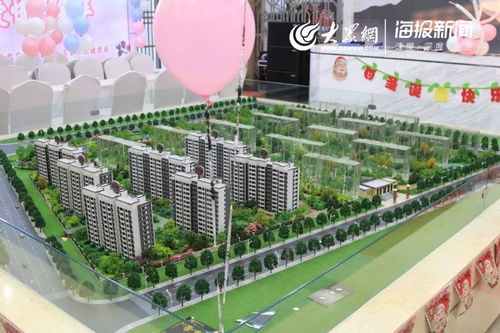 2020年第一天 莒縣眾多單身男女在這里尋覓良人 愛情與佳節(jié)初見就驚艷 了